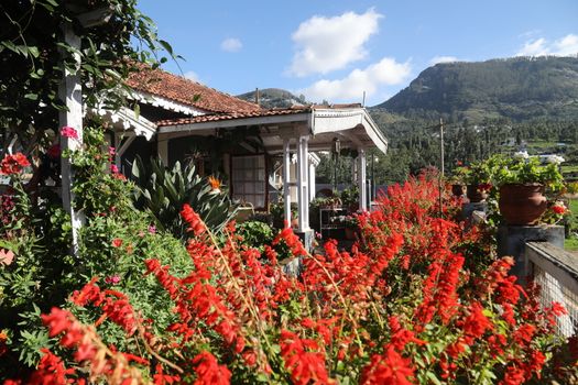 Location Ooty Hill station India
