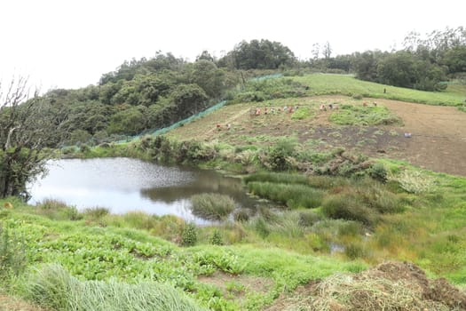 Location Ooty Hill station India