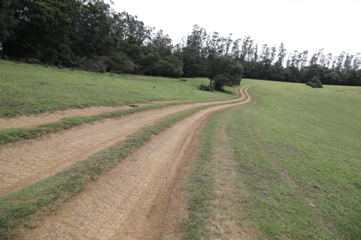 Location Ooty Hill station India