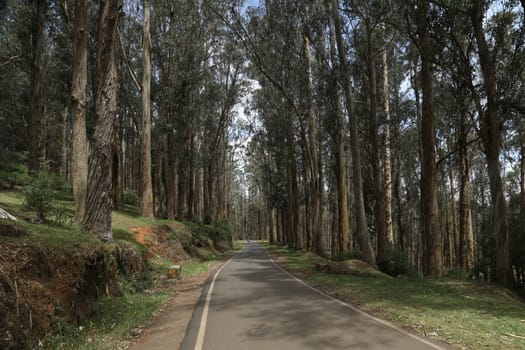 Location Ooty Hill station India