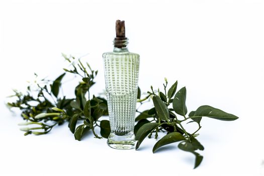 Close up of spray or perfume of Indian jasmine flower or juhi or Jasminum Auriculatum isolated on white in a small bottle with raw flowers.