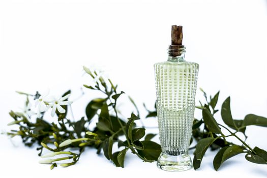 Close up of spray or perfume of Indian jasmine flower or juhi or Jasminum Auriculatum isolated on white in a small bottle with raw flowers.