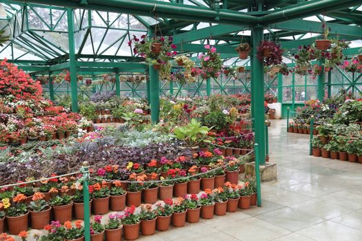 Location Ooty Hill station India