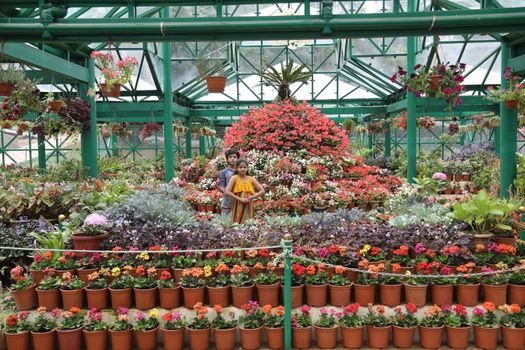 Location Ooty Hill station India