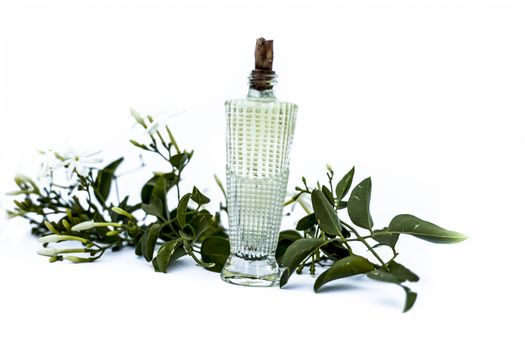 Close up of spray or perfume of Indian jasmine flower or juhi or Jasminum Auriculatum isolated on white in a small bottle with raw flowers.