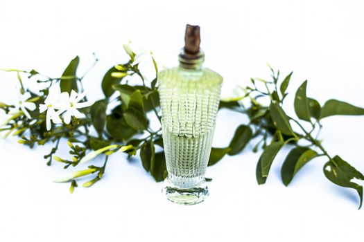 Close up of spray or perfume of Indian jasmine flower or juhi or Jasminum Auriculatum isolated on white in a small bottle with raw flowers.