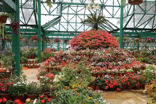 Location Ooty Hill station India