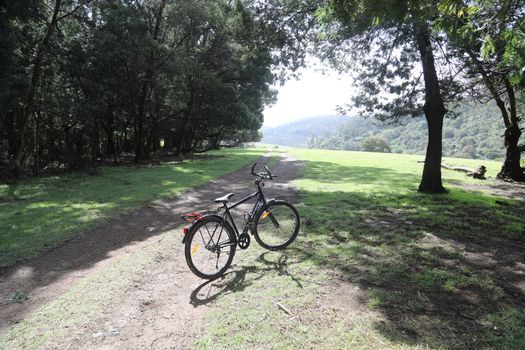 Location Ooty Hill station India