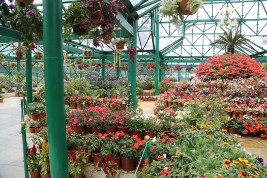 Location Ooty Hill station India