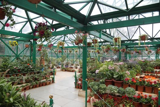 Location Ooty Hill station India