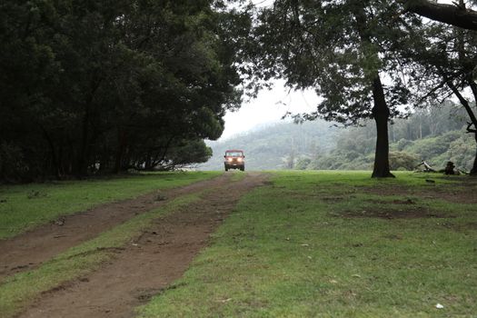 Location Ooty Hill station India