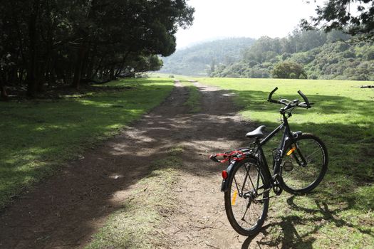 Location Ooty Hill station India