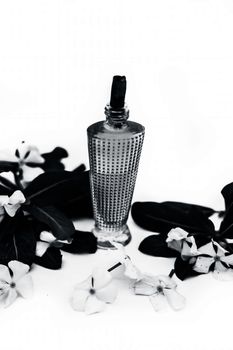 Close up of perfume or spray of Annual Vinca or Madagascar Periwinkle or Sadaabahaar or sadabahar in a transparent glass bottle with raw flowers isolated on white.