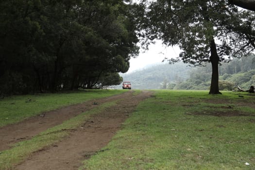 Location Ooty Hill station India
