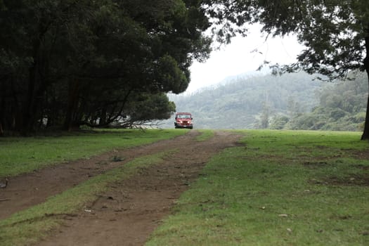 Location Ooty Hill station India