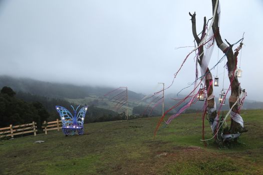 Location Ooty Hill station India