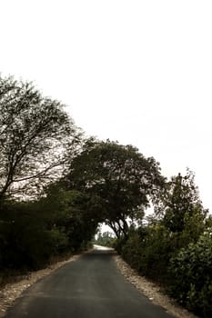 Roads passing through the green fields on both the sides isolated.