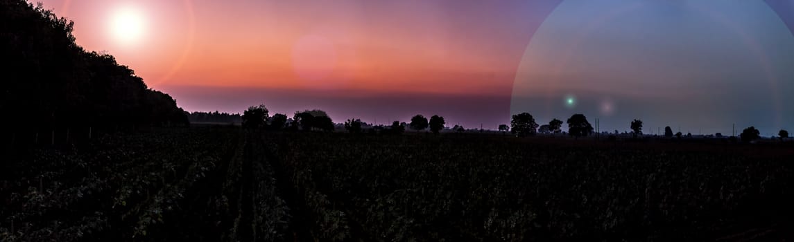 Panorama shot of sunset or sunrise through clouds and mountains and trees in the deep forest.