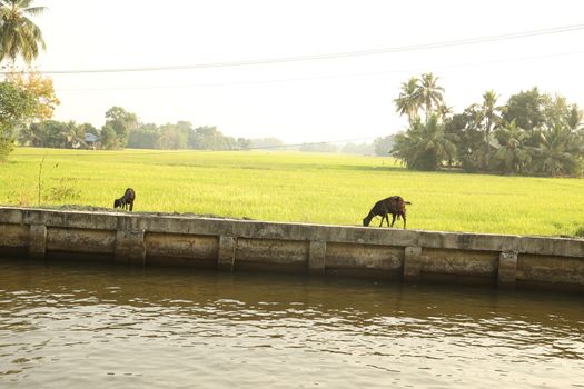 Tourist Place Kerala India