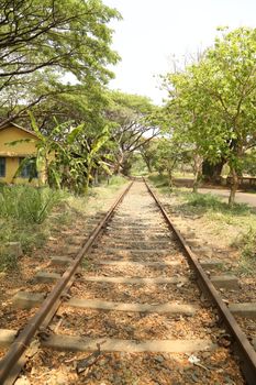 Rural area India