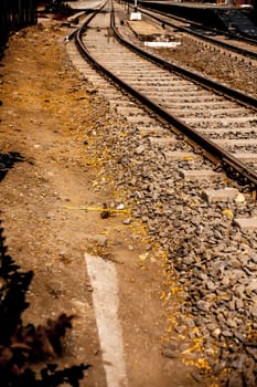 Close up of railway tracks passing or running straight through a forest type area with having surroundings dried out.