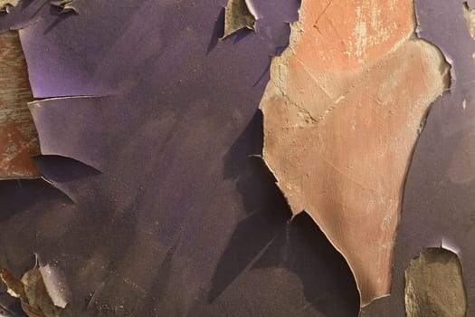 Abstract Texture Background