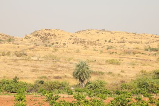MPR Dam near Anantapur Andhra Pradesh India