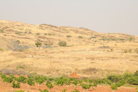MPR Dam near Anantapur Andhra Pradesh India