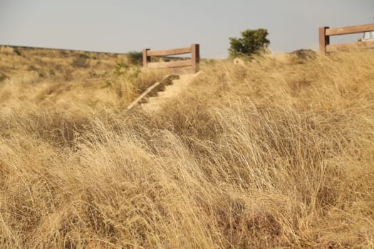 MPR Dam near Anantapur Andhra Pradesh India