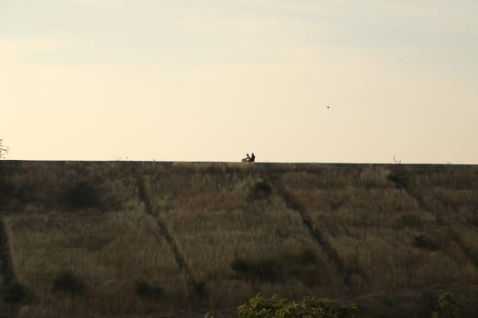 Silhouette of people on hill