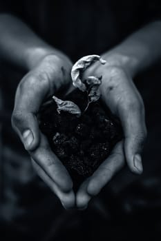 Close up of Human hands trying to Save mother nature by holding plant in palms.Concept of saving earth and mother nature.