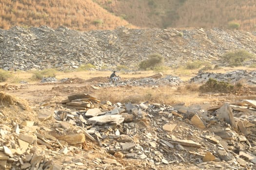 Rock Hill Texture