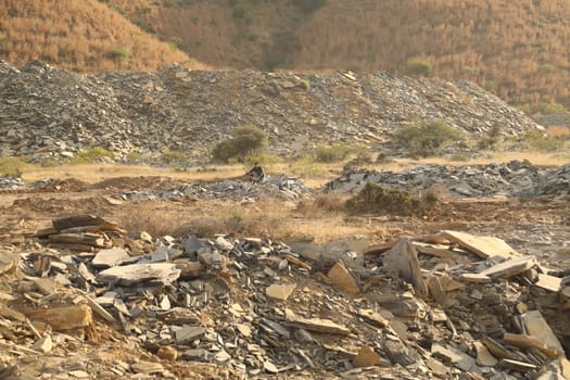 Rock Hill Texture