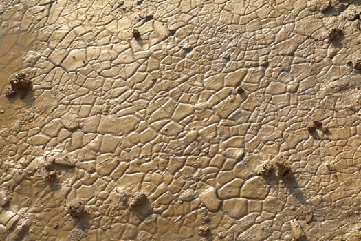 Rock Hill Texture