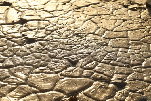 Mud Texture at Rural area