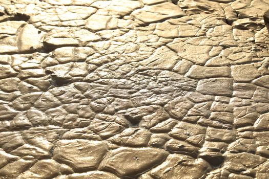 Mud Texture at Rural area