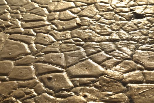 Mud Texture at Rural area