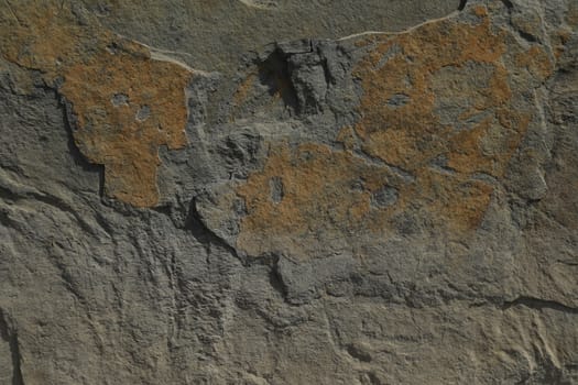Rock Hill Texture
