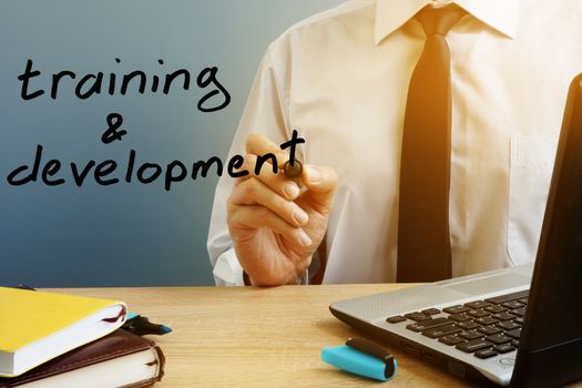 Training and development. Mentor with marker at the office table.