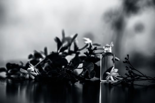 Close up of essence or essential oil of Indian jasmine flower or juhi or Jasminum Auriculatum isolated on white in a small transparent glass bottle with raw flowers.