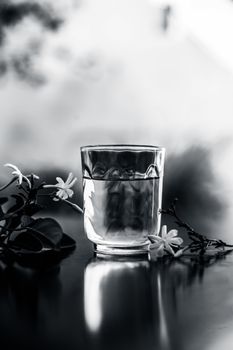 Close up of extract of Indian jasmine flower or juhi or Jasminum Auriculatum on wooden surface in a transparent glass with raw flowers.