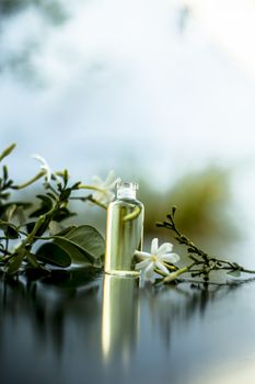 Close up of essence or essential oil of Indian jasmine flower or juhi or Jasminum Auriculatum isolated on white in a small transparent glass bottle with raw flowers.