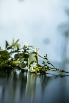 Close up of essence or essential oil of Indian jasmine flower or juhi or Jasminum Auriculatum isolated on white in a small transparent glass bottle with raw flowers.