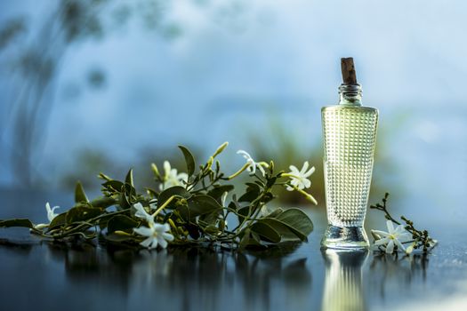 Close up of spray or perfume of Indian jasmine flower or juhi or Jasminum Auriculatum on wooden surface in a small bottle with raw flowers.