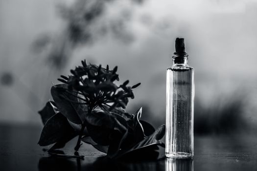 Close up of red colored pentas flower or Egyptian Star Flower or jasmine on wooden surface with its extracted spray or perfume in a transparent glass bottle.