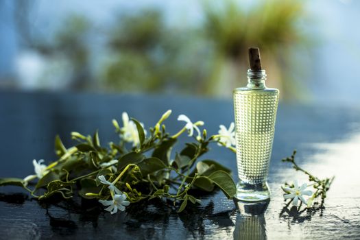 Close up of spray or perfume of Indian jasmine flower or juhi or Jasminum Auriculatum on wooden surface in a small bottle with raw flowers.