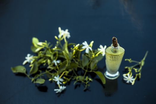 Close up of spray or perfume of Indian jasmine flower or juhi or Jasminum Auriculatum on wooden surface in a small bottle with raw flowers.