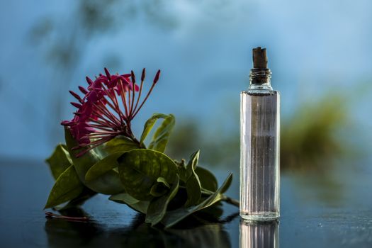 Close up of red colored pentas flower or Egyptian Star Flower or jasmine on wooden surface with its extracted spray or perfume in a transparent glass bottle.