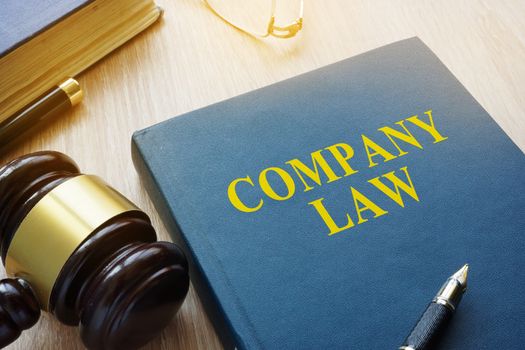Company law and gavel on a court desk.