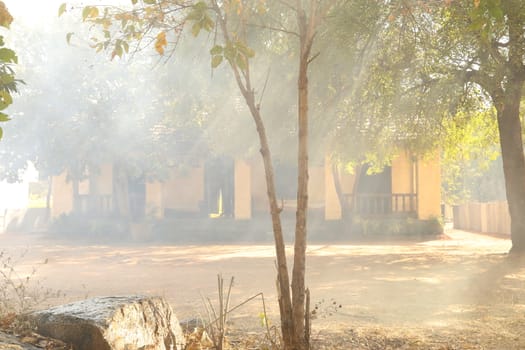 Rural area India
